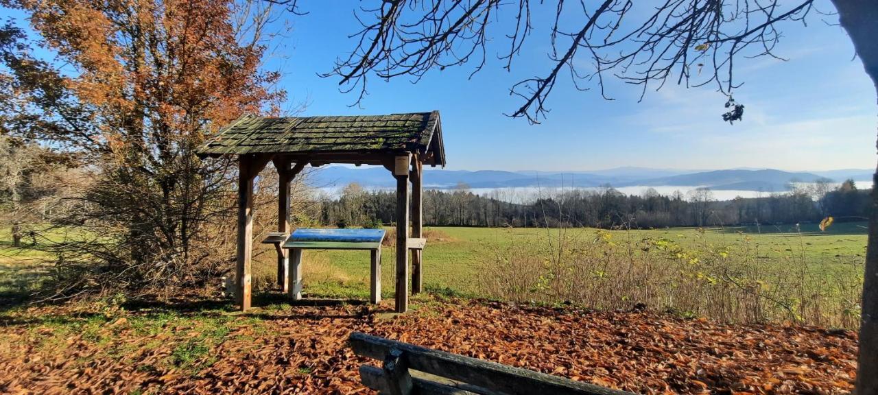 Patersdorf Berggasthof Schoen מראה חיצוני תמונה