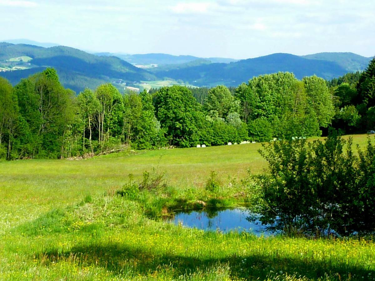 Patersdorf Berggasthof Schoen מראה חיצוני תמונה
